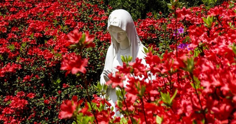 Unsere Liebe Frau vom Rosengarten, dargestellt von verschiedenen Künstlern