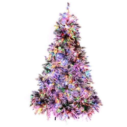 gruner beflockter weihnachtsbaum snowy seneca mit 2300 leds 240 cm